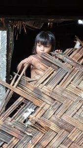 The Impact of Statelessness on Rohingya Refugees: A Crisis of Rights and Resilience in 2026