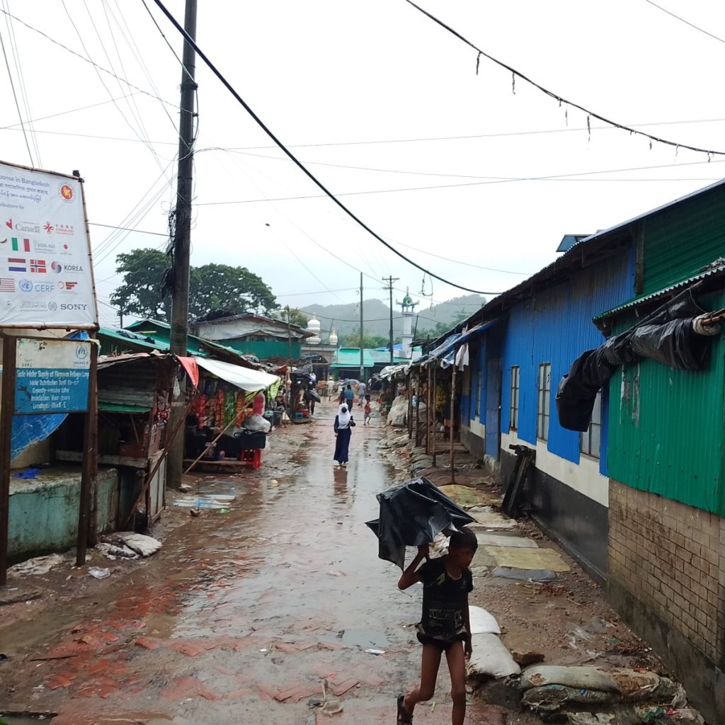 Understanding the Rohingya Crisis: History, Resilience, and the Path to Justice